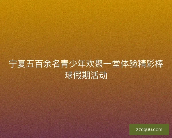 宁夏五百余名青少年欢聚一堂体验精彩棒球假期活动