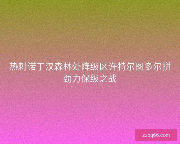 热刺诺丁汉森林处降级区许特尔图多尔拼劲力保级之战